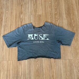 Anine Bing MUSE Graphic Tee